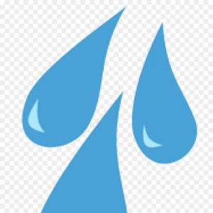 Portada del juego The shower:D – Idiomas