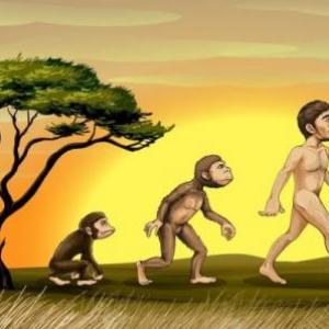TRIVIA DE  HOMINIZACION 