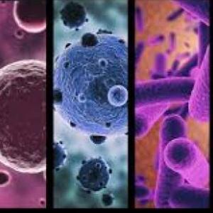 TRIVIA DE MICROORGANISMOS