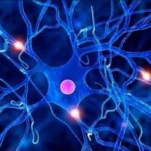 Portada del juego Electrofisiología – Salud