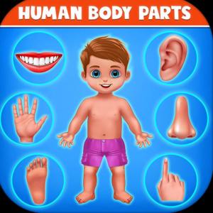BODY PARTS K3