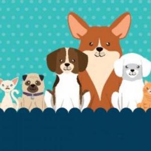 Animales domésticos