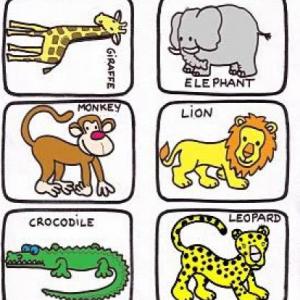 WILD ANIMALS