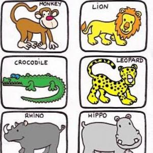 WILD ANIMALS
