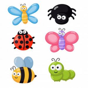 INSECTS