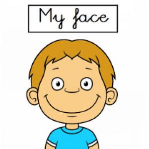 PARTS OF THE FACE
