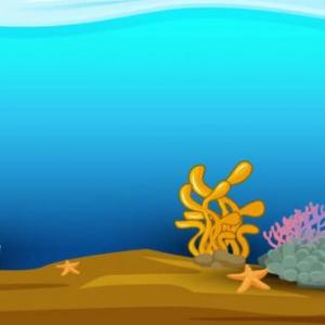 water animals