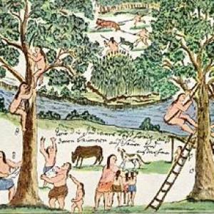 Pueblos Originarios de SDE