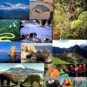 Recursos Naturales