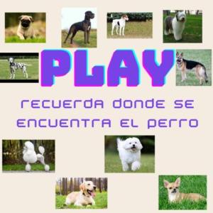 Recuerda donde se encuentra el perro