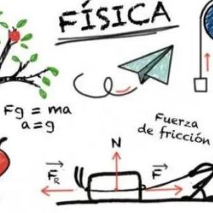 LEYES DE NEWTON CORTO