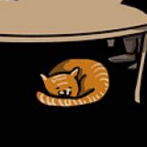 Técnica Grupo Nominal