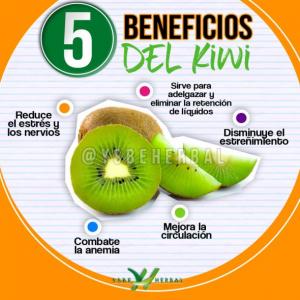 ALIMENTOS