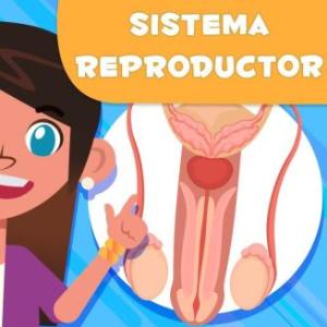 sistema reproductor femenino 