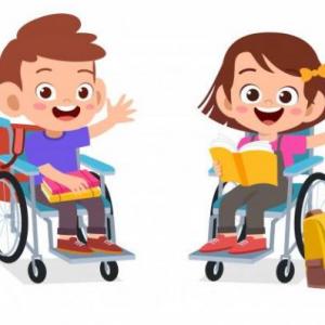 CONOCIENDO LA DISCAPACIDAD
