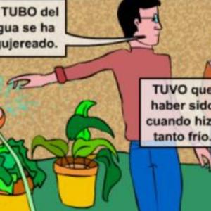 Juego interactivo "Palabras Homófonas"
