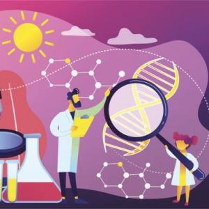 Las profesiones en la ciencia 