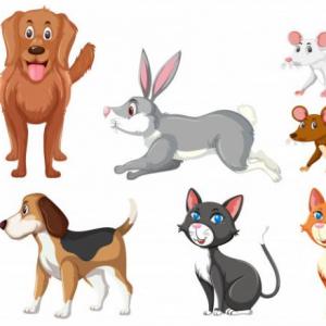 Memotest de Animales Domésticos