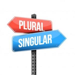 Singular and Plural Nouns