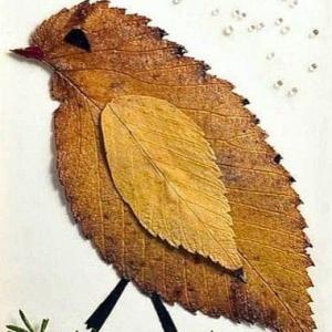Nuestras aves