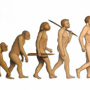 Evolución del Humano