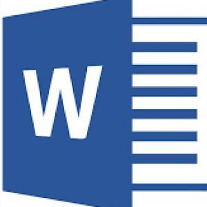MS Word