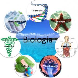 REPASO BIOLOGÍA
