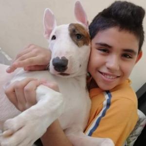 Ender arley sepulveda jerez