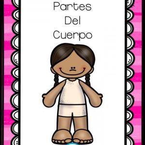 Las Partes del Cuerpo