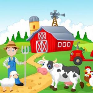 Ponemos a prueba nuestra atención con los animales de la granja