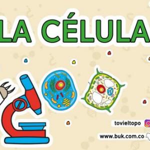 LA CÉLULA