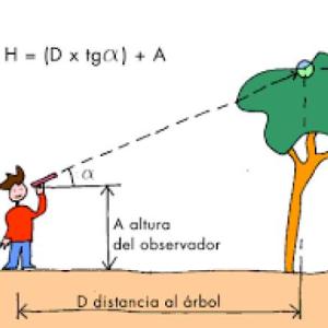 RAZONES TRIGONOMÉTRICAS 5S