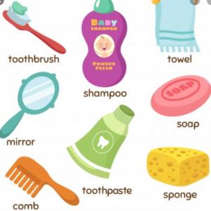 Portada del juego Grooming items 2 – Idiomas