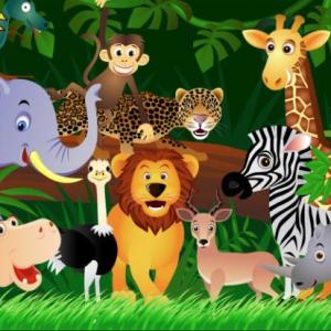 Portada del juego Amazing animals – Idiomas