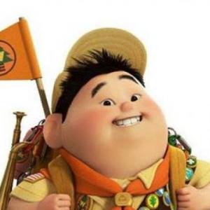 memorice scout