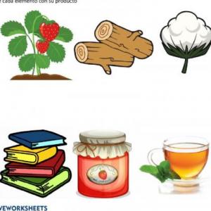 Utilidad de las Plantas