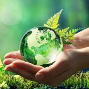 COMPONENTES DE LA NATURALEZA