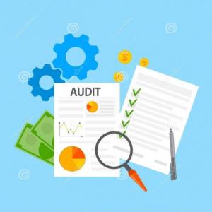9.2 Auditoría Interna