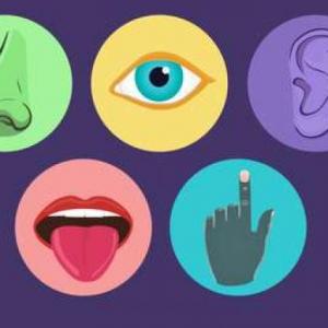 CUIDADOS DE LOS ÓRGANOS DE LOS SENTIDOS