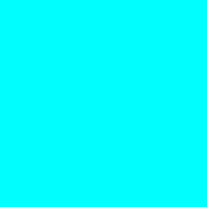 present 