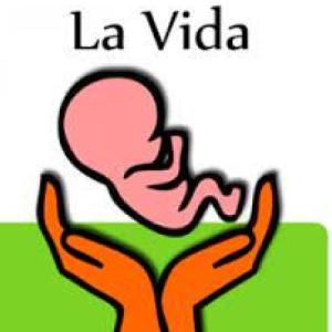 ORDENANDO MIS IDEAS