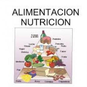 Imagen de portada del videojuego educativo: Nutrición, de la temática Salud