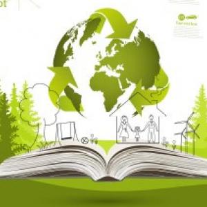 Evaluaciones de Impacto Ambiental