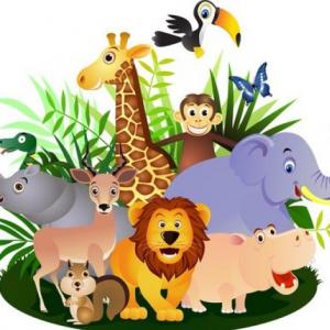 Biología y características de los Animales