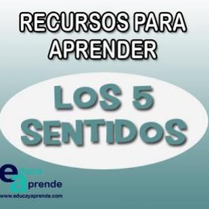 LOS 5 SENTIDOS