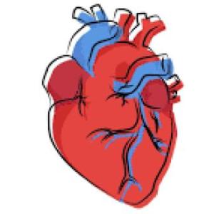 "Jugando con tu corazón"