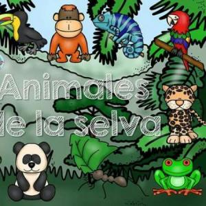 Animales de la selva