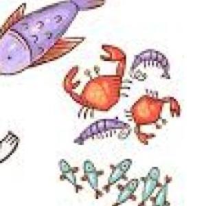 AVENTURAS EN EL OCEANO