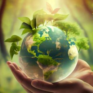 El Medio Ambiente