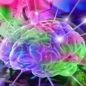 Pon a prueba tu cerebro